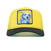DOGGY TRIP