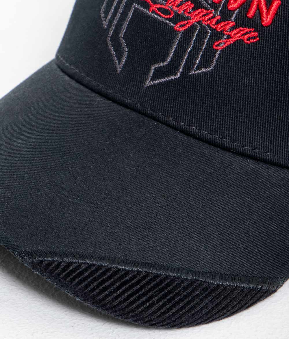 AURA CAP - AP CROWN - ANCESTRAL STREETWEAR