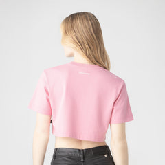 LIAO CASHMERE ROSE