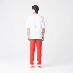 TERRIMONT WHITE
